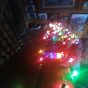 Meet your Posher, Calvin